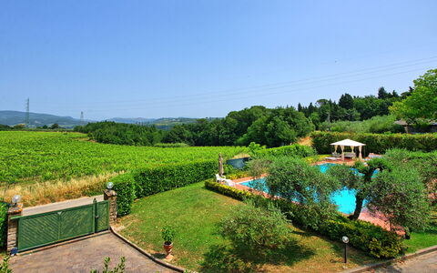Villa Adriana: Arbusto, Giardino, Piscina, Eco Hotel, Piantagione, Ricorrere, Landscaping, Hacienda, Estate, Backyard