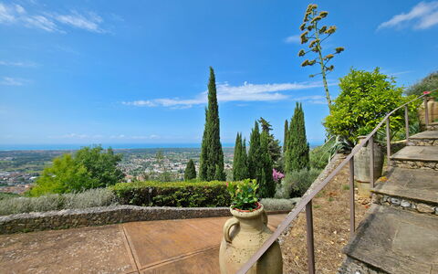 Uno Sguardo sul Mare: Paesaggio, Landscaping, Sempreverde, Giardino Botanico, Pine Famiglia