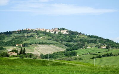 Loma