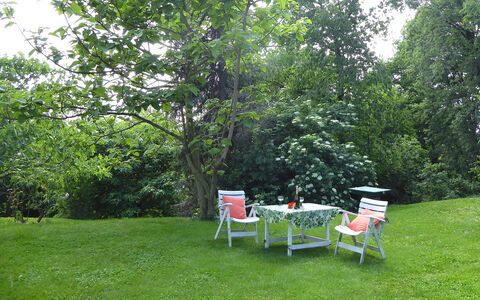Casa Ballo delle Streghe, Garden, Montebelluna: Mobilia, Verde, Albero, Foglia, Giardino, Mobili Da Esterno, Arbusto, Sedia, Prato