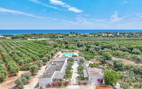 Masseria Lamagrotte By Raro Rooms: Ricorrere, Estate, Landscaping, Piantagione, Visione Globale, Piscina, Eco Hotel, Fotografia Aerea, Resort Citta ', Hacienda