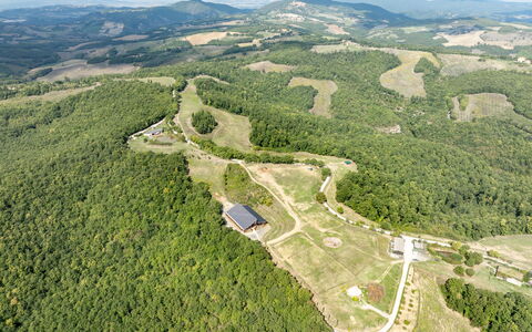 Villa Airone Tegoni, Pool, Radicondoli: Paesaggio, Lotto, Plain, Visione Globale, Fotografia Aerea, Hill Station, Piantagione, Azienda Agricola