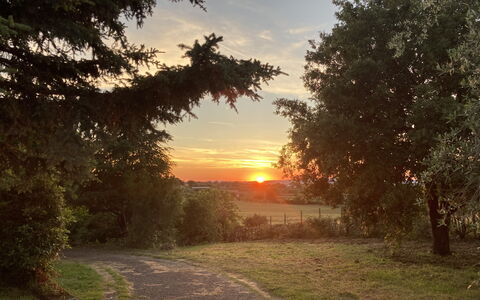 Villa Ginevra: Sole, Foglia, Ramo, Albero, Natura, Erba, Paesaggio Naturale, Tramonto, Alba