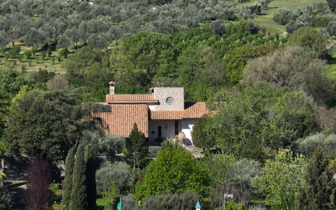 Villa Ginevra: Albero, Arbusto, Casa, Tetto, Casa, Area Rurale, Lotto, Estate, Piantagione, Giardino