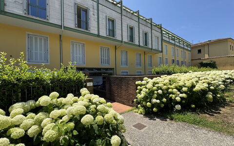 Ai Cantici: Arbusto, Giardino, Landscaping, Shade, Hedge, Cortile, Cortile, Estate, Prato, Backyard