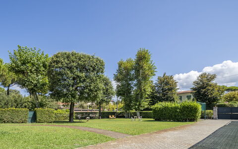 Attico Marino: Verde, Erba, Arbusto, Spazio Pubblico, Giardino, Groundcover, Prato, Shade, Hedge, Landscaping