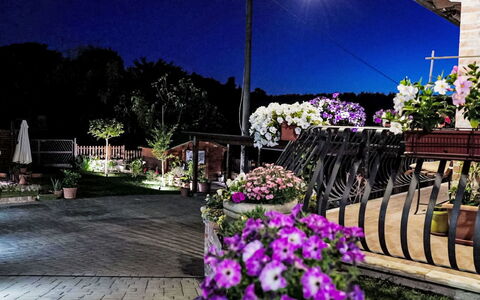 Le Rondini: Notte, Vaso Di Fiori, Giardino, Fiorai, Mezzanotte, Landscaping, Pianta Della Casa, Paesaggio Di Illuminazione, Cortile