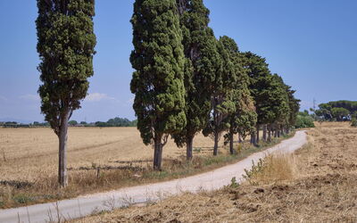 Alloggio:&nbsp;Appartamento Standard 649.3