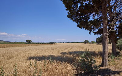 Alloggio:&nbsp;Appartamento Standard 649.3
