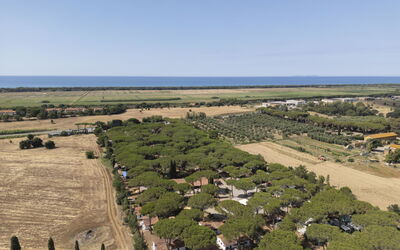 Alloggio:&nbsp;Appartamento Standard 649.3