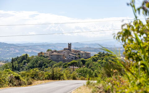 La Pineta Holiday Homes: Orizzonte, Paesaggio, Lotto, Insediamento Umano, Area Rurale, Sobborgo, Villaggio, Shrubland, Chaparral