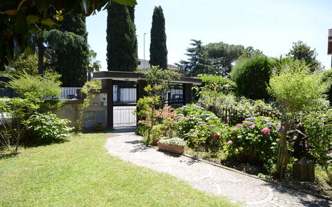 Casa Silvia: Arbusto, Giardino, Comunita 'Impianto, Groundcover, Landscaping, Cortile, Shade, Backyard, Prato