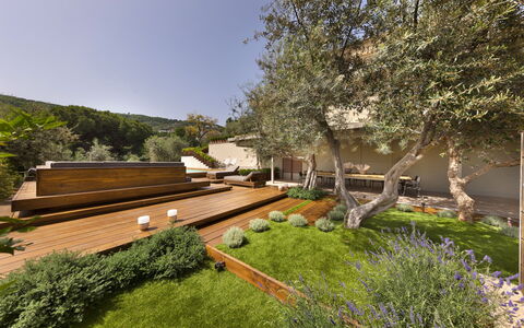 Villantonella: Giardino, Arbusto, Groundcover, Landscaping, Backyard, Cortile, Shade, Estate, Passerella, Eco Hotel