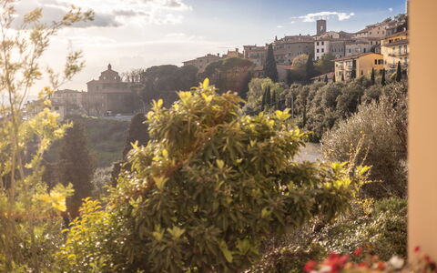 Casa Coccinella: Natura, Vegetazione, Arbusto, Paesaggio, Mattina, Luce Del Sole, Sera, Crepuscolo, Castello, Fenomeno Meteorologico
