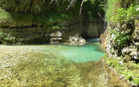 Baita Costa Di Gial: Risorse Idriche, Acqua, Corpo D'Acqua, Natura, Alveo, Stream, Vegetazione, Paesaggio Naturale, Roccia