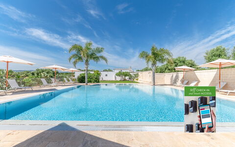 Masseria Lamagrotte: Piscina, Mobili Da Esterno, Ombrello, Ricorrere, Tempo Libero, Sedia, Eco Hotel, Shade, Lettino, Landscaping