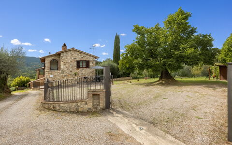 Oliveto Del Cantarello: Casa, Villetta, Estate, Agriturismo, Villaggio, Recinzione, Cortile, Driveway, Villa, Home Scherma