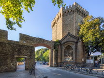 Carmine Apartment San Frediano