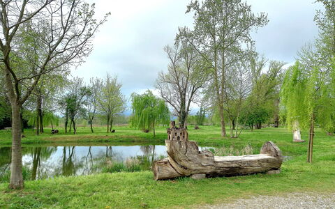 Villa Rosa Apartment: Albero, Erba, Ramo, Ambiente Naturale, Natura, Paesaggio Naturale, Plain, Pascolo, Tronco