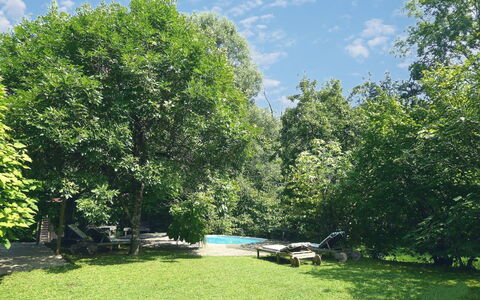 Chalet Fagarè, Pool, Sauna, Prosecco Hills: Albero, Foglia, Ramo, Vegetazione, Arbusto, Giardino, Shade, Prato, Primavera, Luce Del Sole