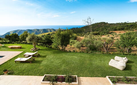 Casaita: Paesaggio Naturale, Paesaggio, Collina, Lotto, Groundcover, Giardino, Prato, Prato, Landscaping