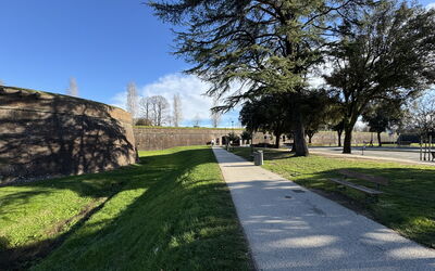 Casa vacanza Casa Capolino - Lucca, Toscana, Italia