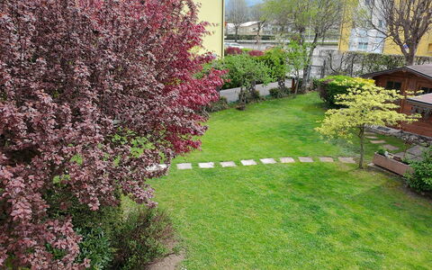 House Martina: Arbusto, Giardino, Groundcover, Prato, Primavera, Backyard, Cortile, Landscaping, Parco