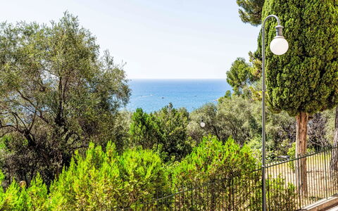 Casa del Mare: Blu, Giorno, Foglia, Vegetazione, Mare, Oceano, Recinzione