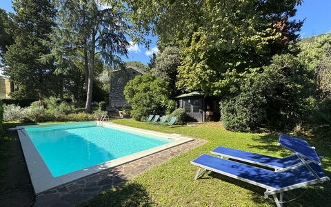 Allo Scoiattolo: Blu, Piscina, Arbusto, Giardino, Shade, Backyard, Ricorrere, Estate, Landscaping, Hacienda
