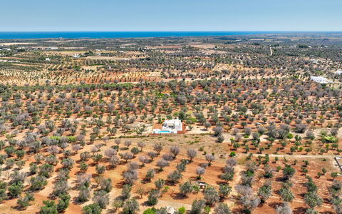 Casa Vita Bella: Albero, Visione Globale, Paesaggio, Fotografia Aerea, Plain, Lotto, Campo, Piantagione, Suolo
