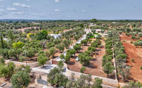 Trulli di Luccio: Albero, Paesaggio, Lotto, Visione Globale, Fotografia Aerea, Piantagione, Villaggio, Landscaping
