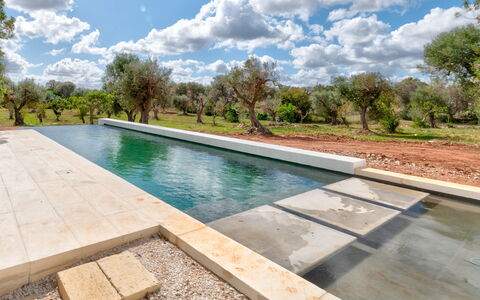 Villa Manè: Materiale Composito, Piscina, Giochi D'Acqua, Riflessione, Landscaping, Piastrella, Reflecting Pool, Passerella