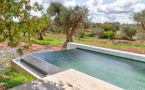 Villa Manè: Materiale Composito, Giardino, Piscina, Giochi D'Acqua, Landscaping, Backyard, Materiali Naturali, Design