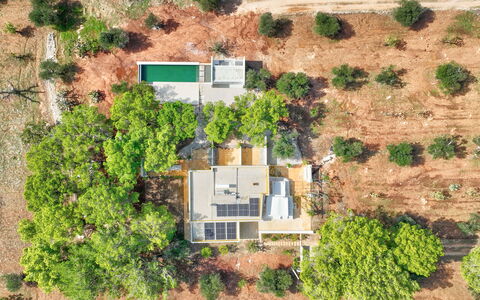 Villa Manè: Albero, Estate, Piantagione, Fotografia Aerea, Visione Globale