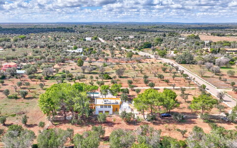Villa Manè: Giorno, Albero, Paesaggio, Lotto, Plain, Area Rurale, Visione Globale, Campo, Fotografia Aerea, Piantagione
