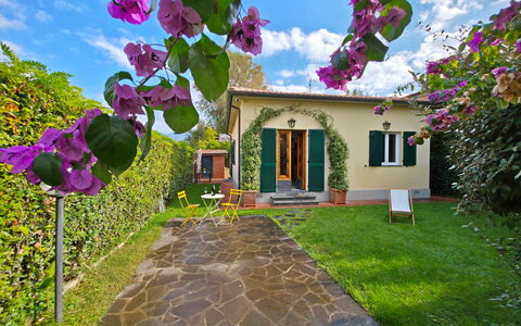 Villetta Tonfano: Arbusto, Giardino, Landscaping, Cortile, Backyard, Prato, Shade, Vaso Di Fiori, Hacienda
