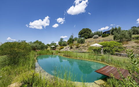 Aqua Bio Retreat: Blu, Paesaggio Naturale, Stagno, Giardino, Piscina, Riflessione, Landscaping, Serbatoio, Eco Hotel