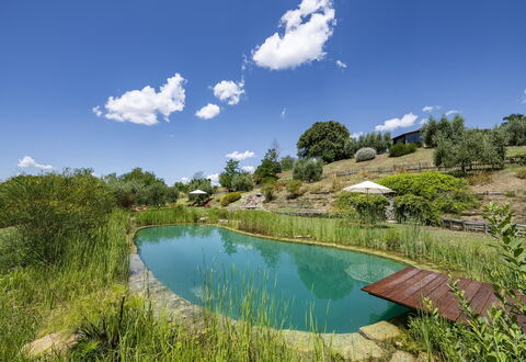 Aqua Bio Retreat: Blu, Paesaggio Naturale, Stagno, Giardino, Piscina, Riflessione, Landscaping, Serbatoio, Eco Hotel