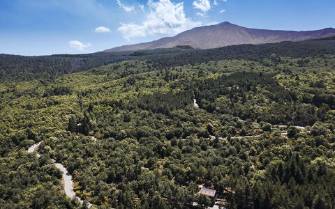 Casa Gibel: Geografia Montane, Ambiente Naturale, Montagna, Vegetazione, Collina, Highland, Paesaggio Naturale, Ecoregione, Paesaggio, Foresta