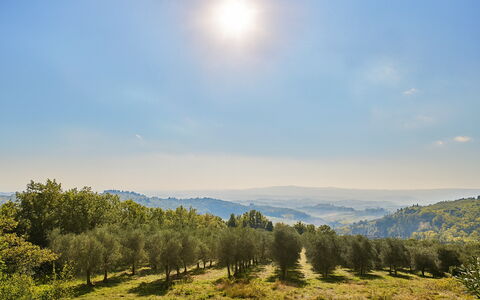 Novellina: Paesaggio Naturale, Collina, Pascolo, Ecoregione, Orizzonte, Paesaggio, Plain, Comunita 'Impianto, Natura Selvaggia, Prato
