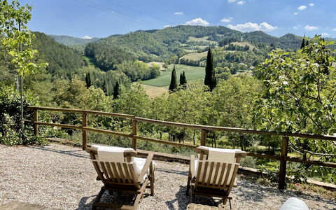 Torre Fantini: Albero, Paesaggio, Mobilia, Mobili Da Esterno, Foresta, Primavera, Tavolo Esterno, Shade, Hill Station, Latifoglie