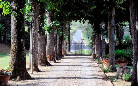 Villa Medicea Lo Sprocco: Arbusto, Passerella, Giardino, Tronco, Driveway, Trail, Marciapiede, Shade, Landscaping, Flagstone
