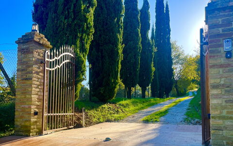 Villa Vindelbono: Giardino, Landscaping, Passerella, Ombra, Sempreverde