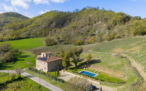La Morella: Lotto, Area Rurale, Casa, Villetta, Estate, Agriturismo, Giardino, Prato, Prato, Piscina