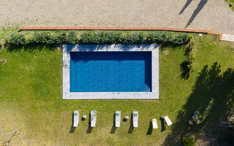 La Morella: Piscina, Tempo Libero, Giardino, Prato, Mobili Da Esterno, Landscaping, Ricorrere, Erba Sintetica, Giochi D'Acqua, Backyard