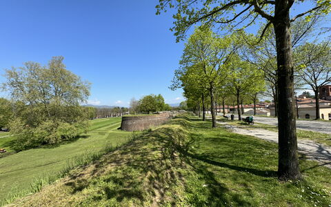 Al Civico 80: Cielo, Erba, Albero, Verde, Natura, Foglia, Ramo, Paesaggio Naturale, Pascolo