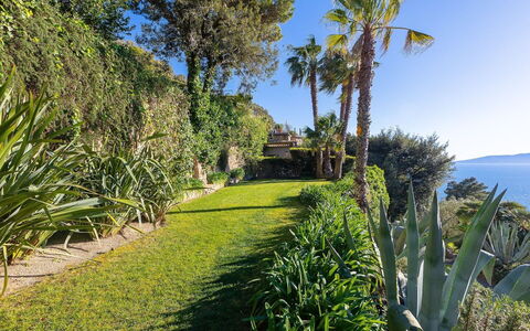 La Terrazza sul Mare: Blu, Verde, Vegetazione, Mare, Arbusto, Oceano, Costa, Costiera E Morfologie Oceanic, Comunita 'Impianto, Giardino