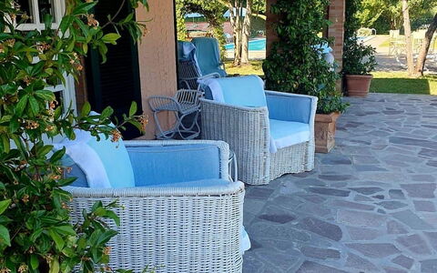 Casa Mia: Mobilia, Mobili Da Esterno, Shade, Sedia, Vaso Di Fiori, Pavimentazione, Flagstone, Tavolo Esterno, Giardino, Landscaping