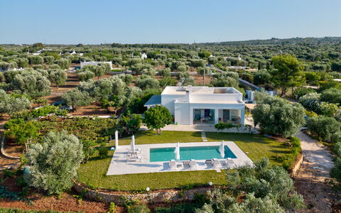 Lacorte di Ninetta: Paesaggio, Lotto, Estate, Landscaping, Piantagione, Villa