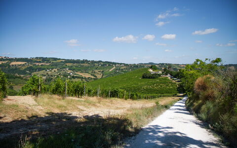 Zena Apartment: Verde, Vegetazione, Paesaggio Naturale, Pascolo, Paesaggio, Collina, Area Rurale, Arbusto, Plain